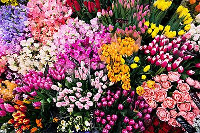 《真三国无双2复刻版》上架Steam 支持中文配音