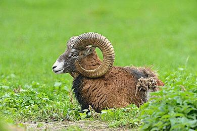 益智游戏《Linia Stripes》Steam页面上线 4月28日发售